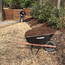 Sod Repair in Durham, NC 5
